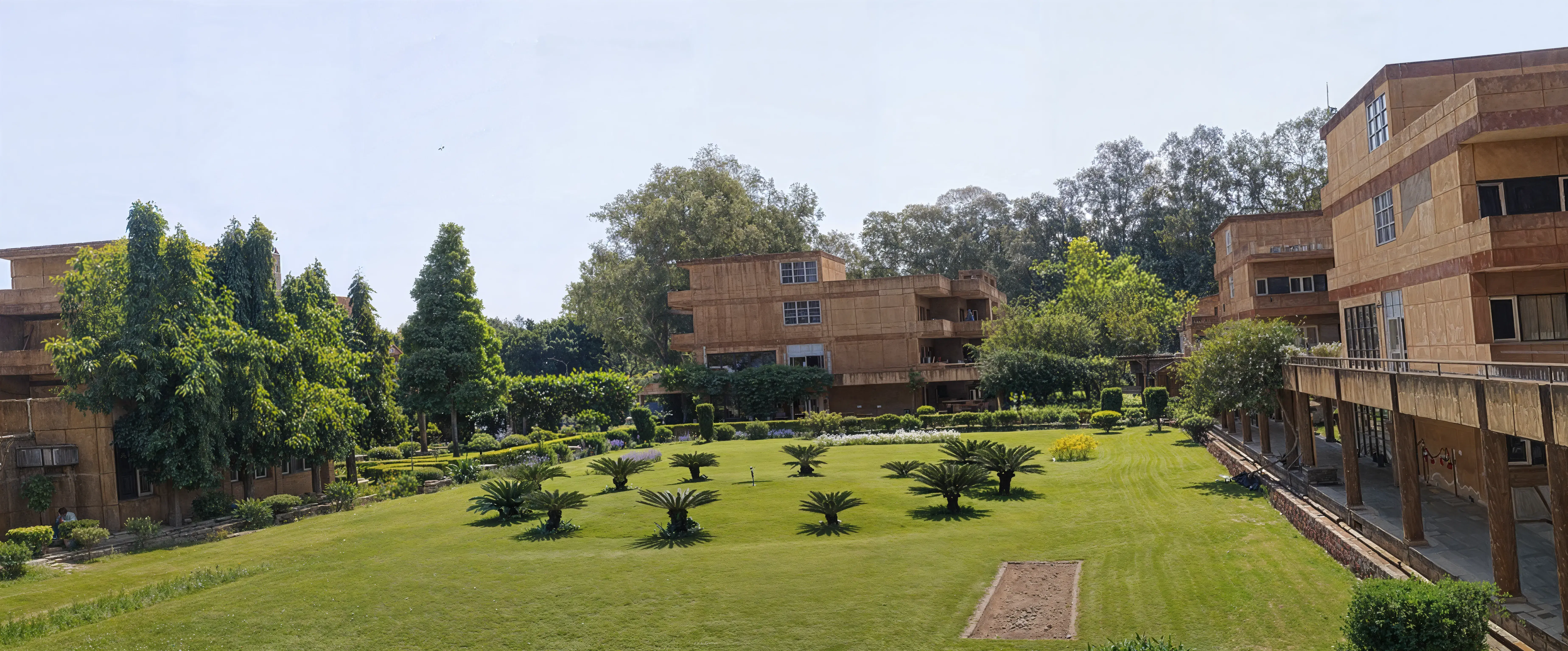 NIPER Mohali Campus photo 11